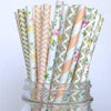 Colorful Paper Straws Cora